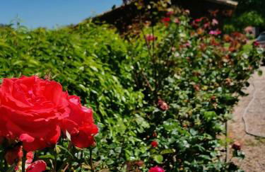 Gîte Le Pressoir - Photo 25