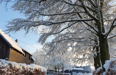 Eifel-Oase Monschau - Foto 28