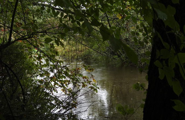 5 Person Holiday Home in Strandby-by Traum - Photo 4