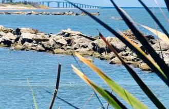 Pet Friendly Tranquil Cottage with Fire-Pit & Hot Tub Minutes to BEACHES - Foto 47