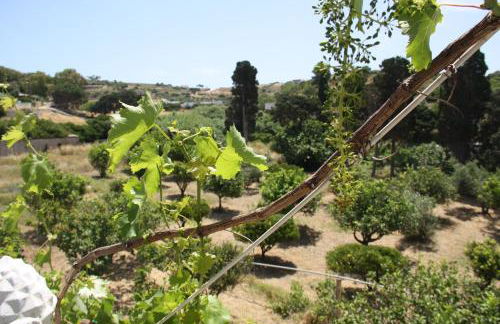 Kalypso Apartments - Foto 16