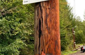 Apartament Telkom 2 - Foto 17