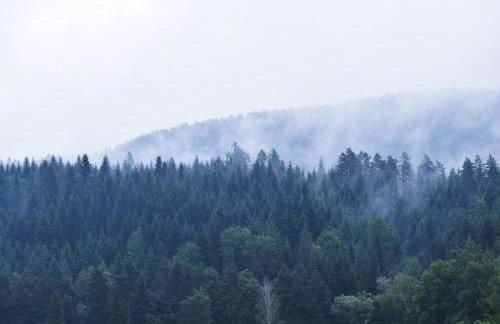 Domki w Bieszczadach Nowa Zelandia - Photo 41