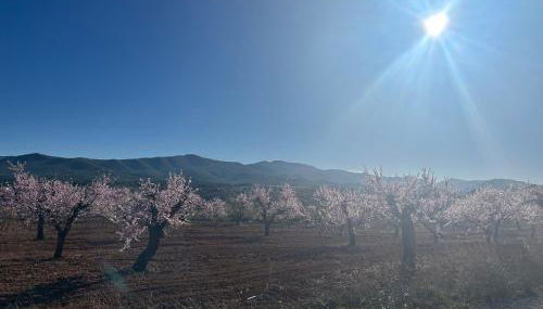 Casa Miranda - Foto 2