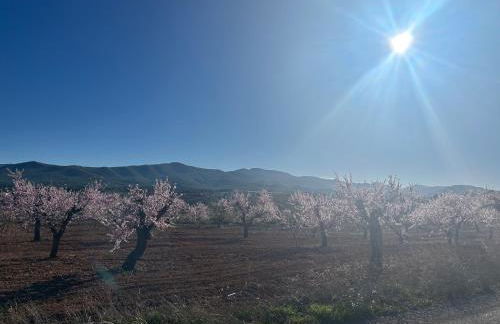 Casa Miranda - Foto 2