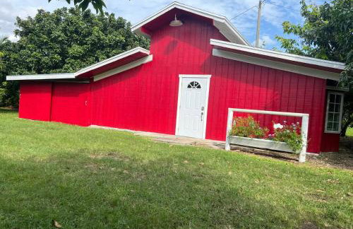 Marias Tropical Tiny Barn a Farm Stay Near Miami & Florida Keys - Foto 5