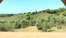 Agriturismo Il Poggio - Foto 2