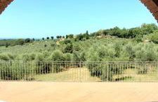 Agriturismo Il Poggio - Foto 2