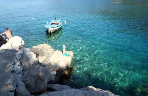 Apartment Zarace - Gdinj 4598a - Foto 6