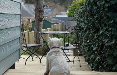 Poppy Cottage - Foto 30