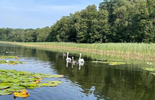 Ferienhaus Seeblick, Schönberg - Foto 21
