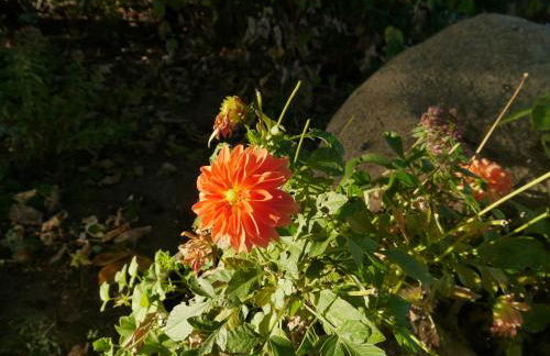 Ferienwohnung im Neubauernweg 3 - Foto 17