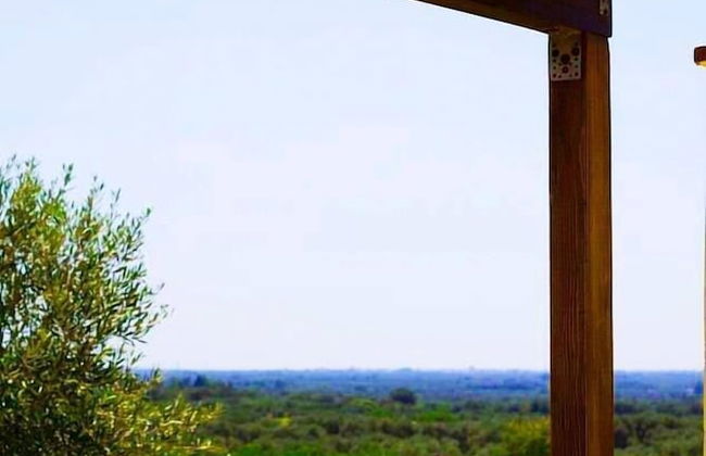 Tenuta la Siesta - Photo 55