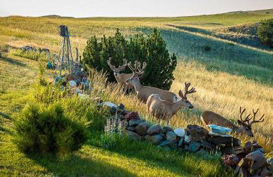 The Shepherd's Retreat - Foto 29