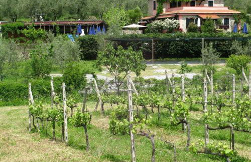 Agriturismo La Vigna - Foto 19