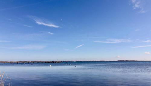 Haus Annelie FEWO 2 OG - Foto 5