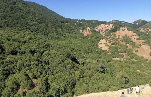 The River House - Foto 44