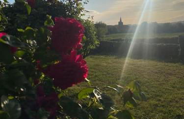Cottage chaleureux au cœur des Monts de Flandres - Foto 13