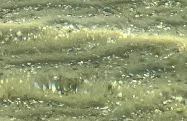 Pé na Areia Beach House - Foto 68