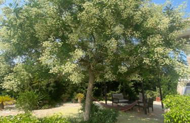 Casa Lusentum - Foto 23