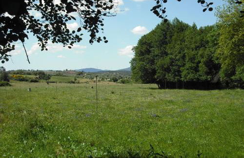 Quinta da Alma Cheia - Foto 49