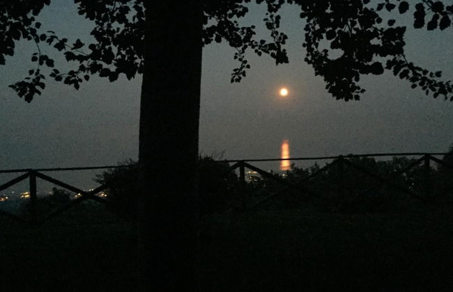 L'infinito - Foto 49