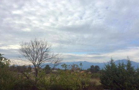 green guesthouse - Foto 20