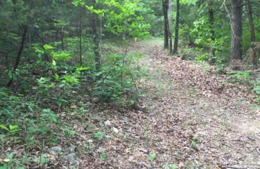 Cherokee mountain log cabin resort - Foto 76