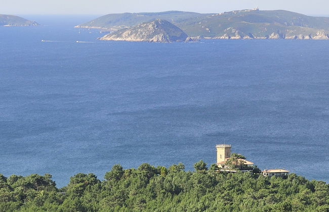 Barco a la isla de Ons - Foto 1