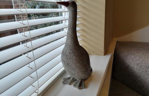 Duck Cottage - Foto 16