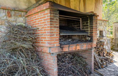 Rodiles de Matisón - Foto 34