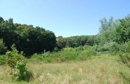 Ferienwohnung im Hochland - Foto 16