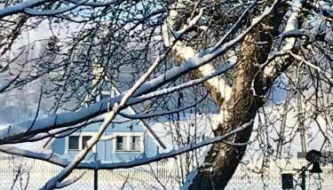 U Ewy pod Brzozami - Foto 5