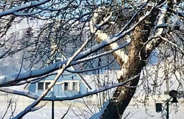 U Ewy pod Brzozami - Foto 5