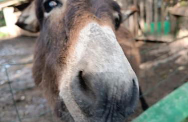 Gîte la grange - Foto 10