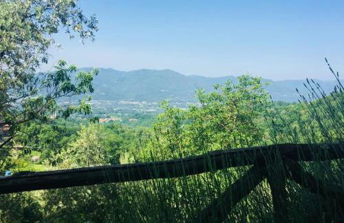 Ca' Rosmunda - Photo 11