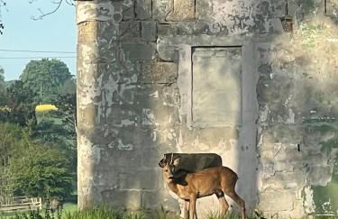 Ferienwohnung im Grünen - Photo 17