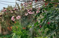 Allin home - Foto 47