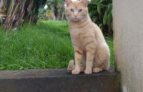 Quinta da Maria - Foto 22