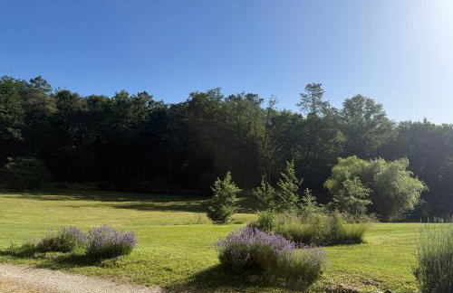 Les gîtes de la Joubertie - Foto 34