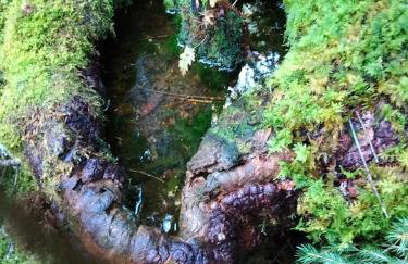 Gite le grenier du roc - Foto 31