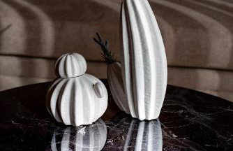 Perdika Ionion Villas - Foto 27