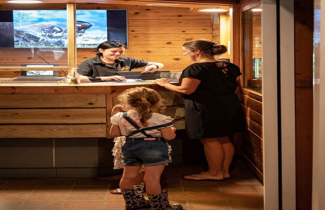 Escape in Dochamps Chalet - Photo 2