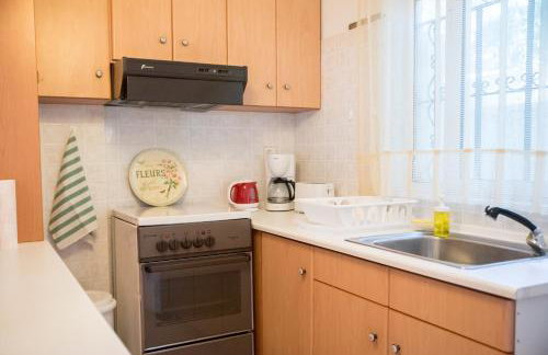 ILIOCHARI sea view apartments Oropos - Kalamos - Foto 31