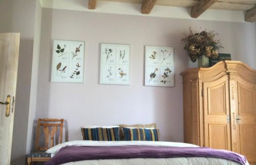 agroturystyka Orzechowe Wzgórze - Foto 49