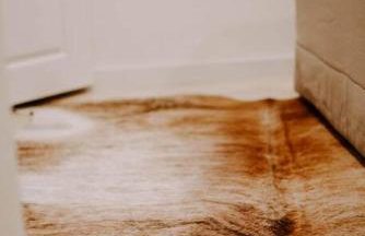 Saguaro at Cactus Flower-HOT TUB-Pet Friendly-No Pet Fees! - Foto 25