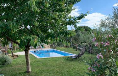 Apartments Leone - Photo 47