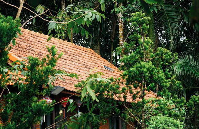 Suoi Rao Ecolodge - Foto 19