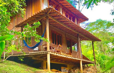 Casa Araucária 2 - Photo 1