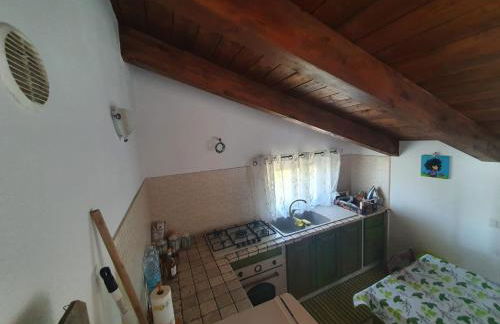 Gabbiano Jonathan - Foto 10